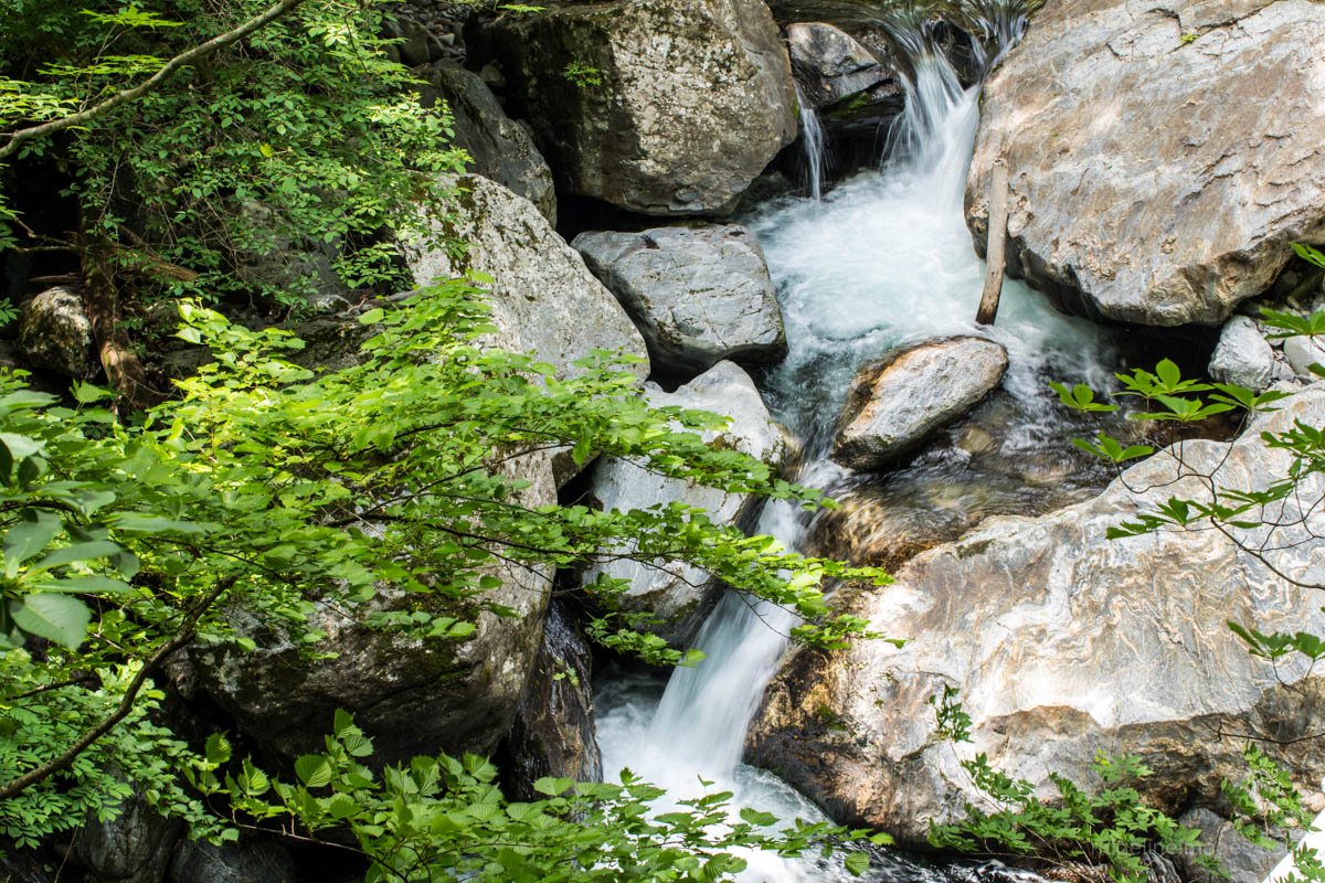 🏞️ 아이야 폭포 (아이야노타키) 이미지 5